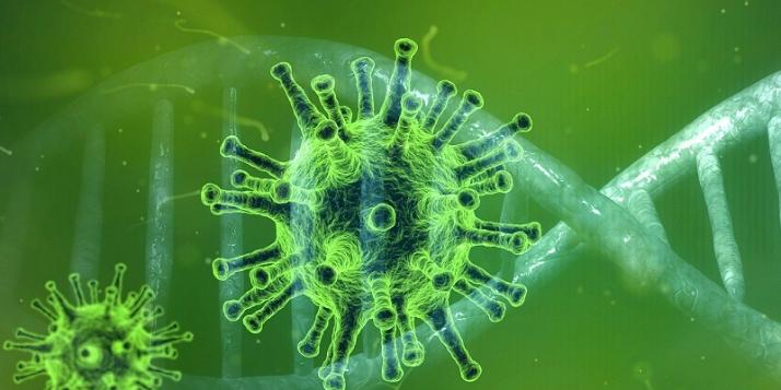 Information Coronavirus
