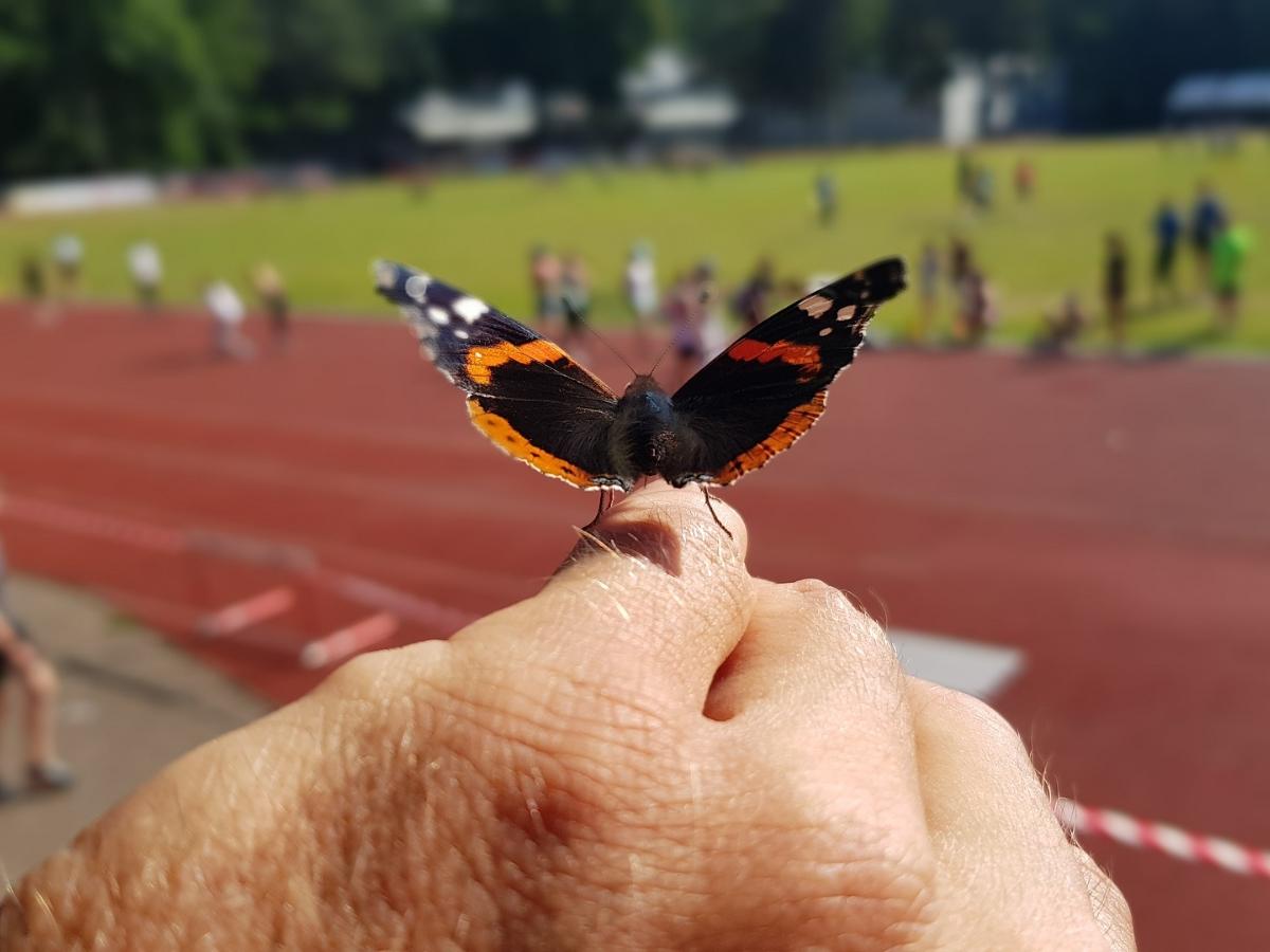 Ereignisreiche Wochen vor den Sommerferien