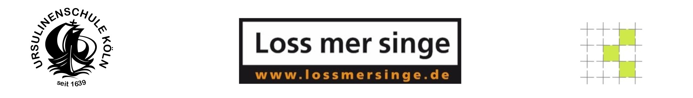 Loss_mer_singe_Fussleiste