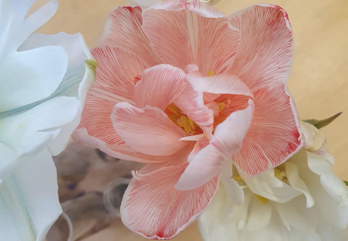 Rosenblüten zum Schnuppern und Färben